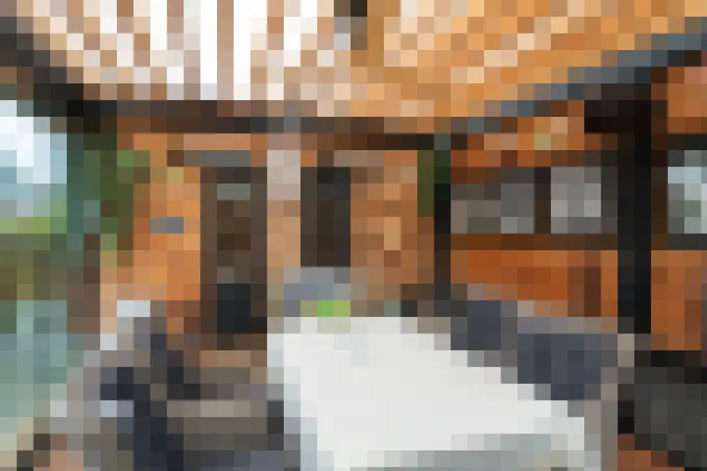 Nicolaaserf 21 Waddinxveen thumbnail 37