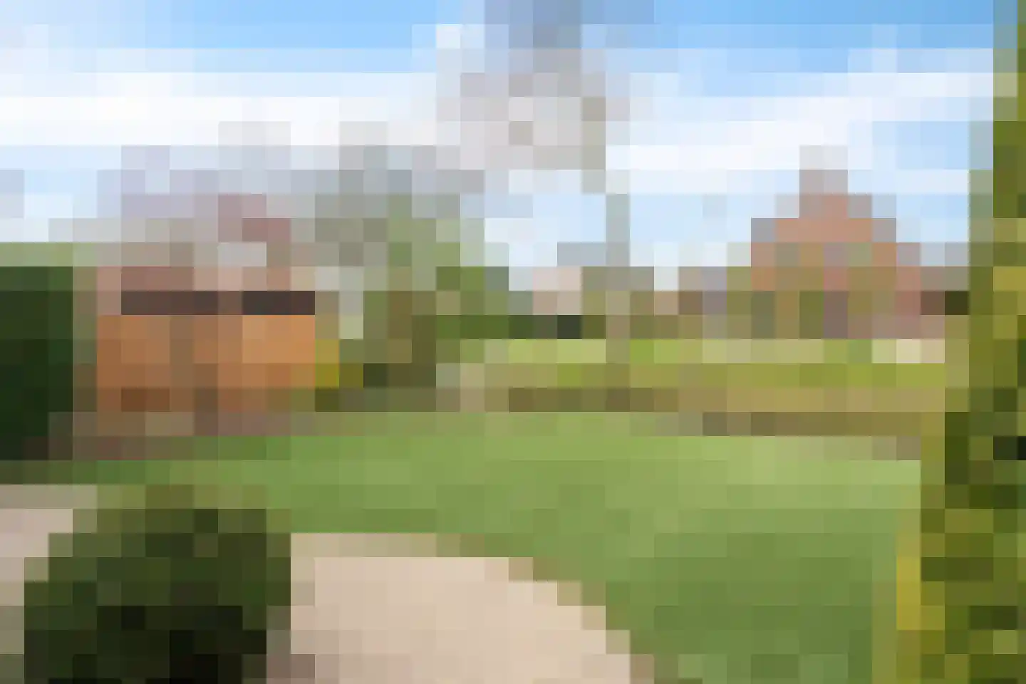 Nicolaaserf 21 Waddinxveen thumbnail 45