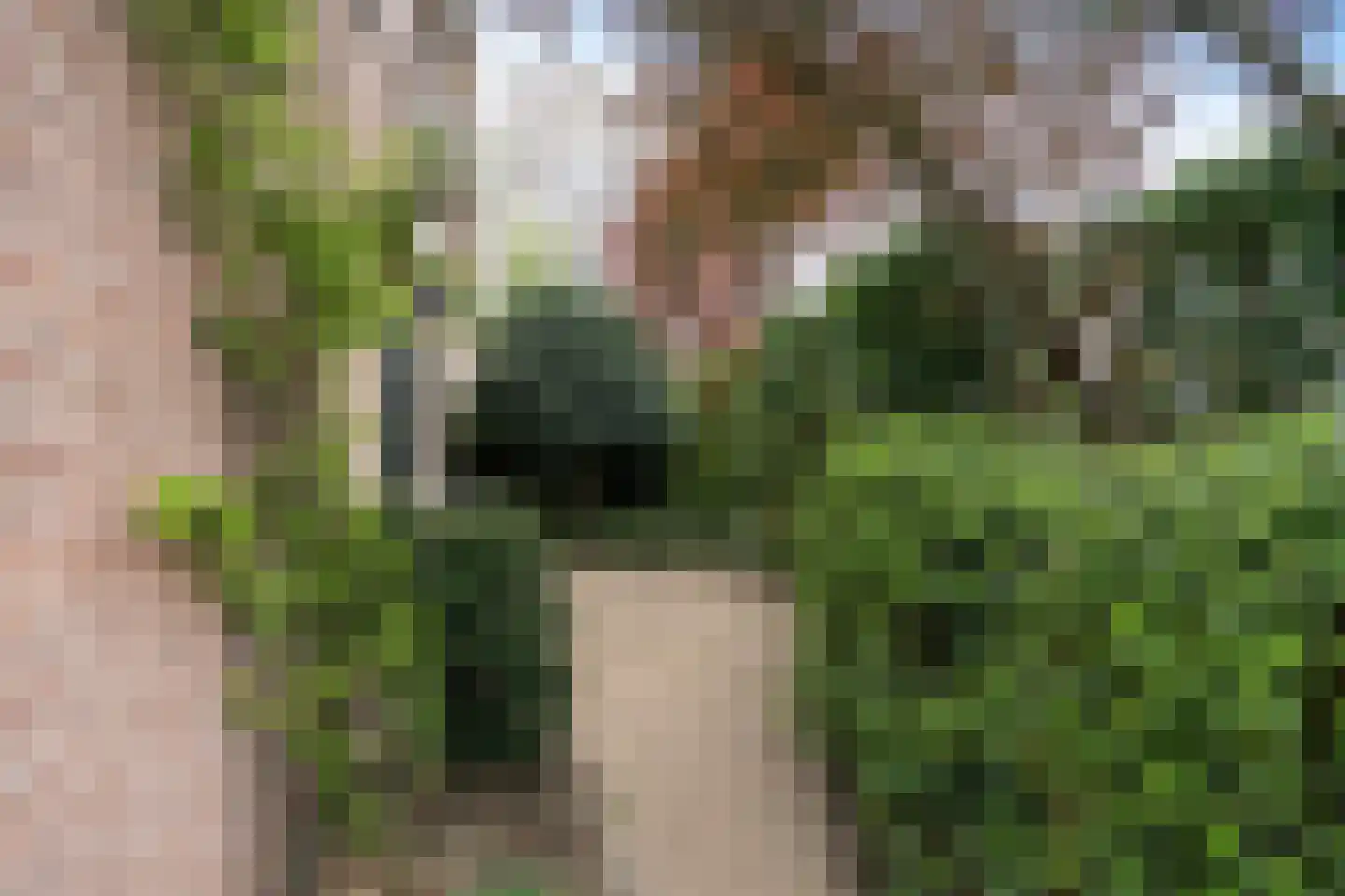 Nicolaaserf 21 Waddinxveen thumbnail 47