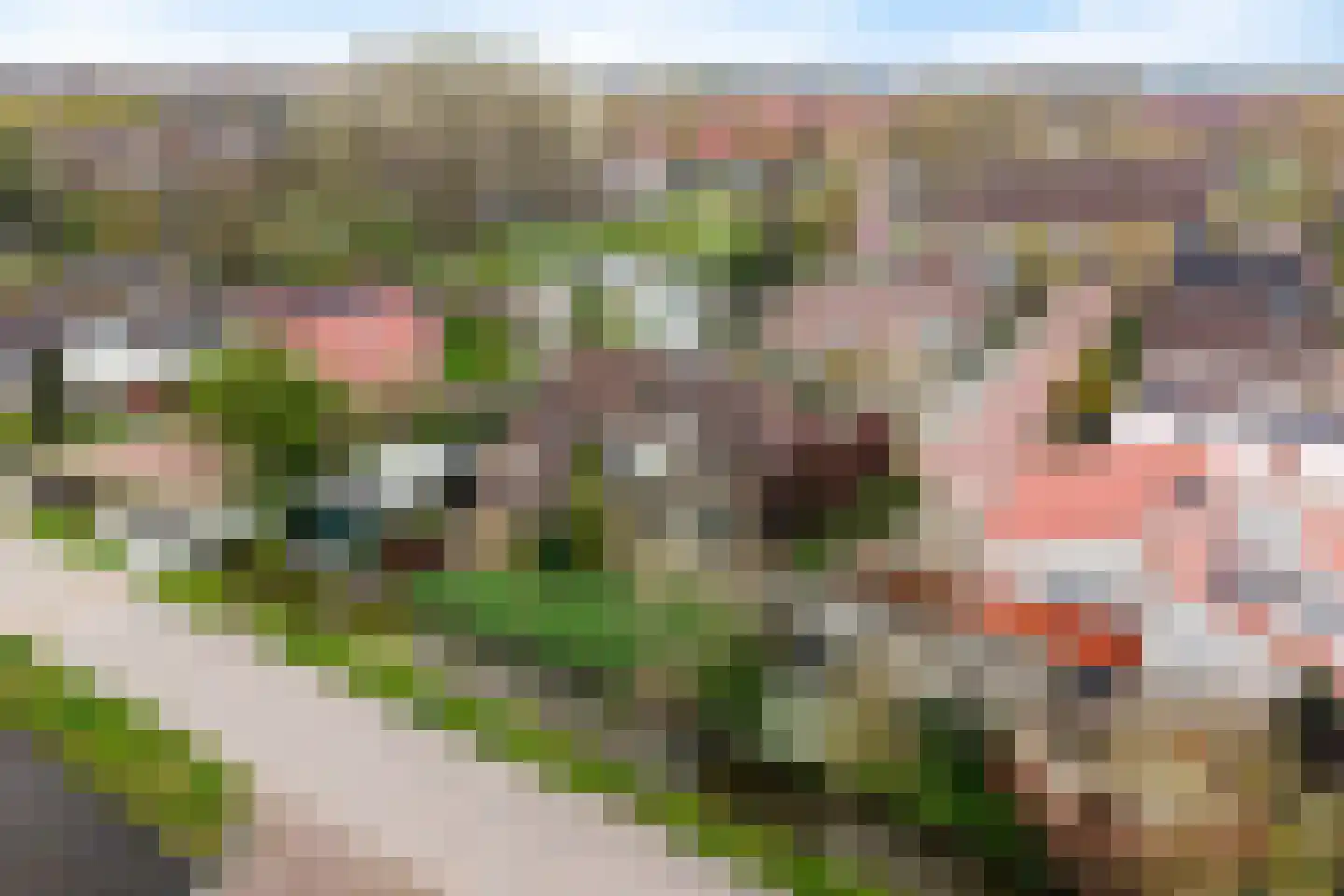 Nicolaaserf 21 Waddinxveen thumbnail 5
