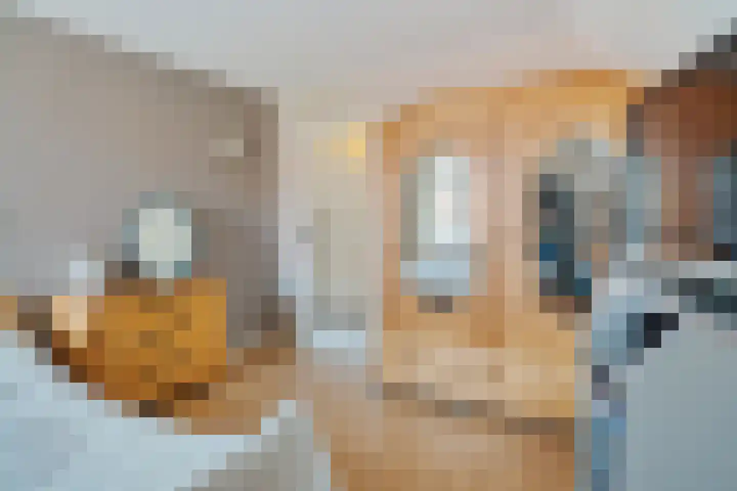 Nicolaaserf 21 Waddinxveen thumbnail 60