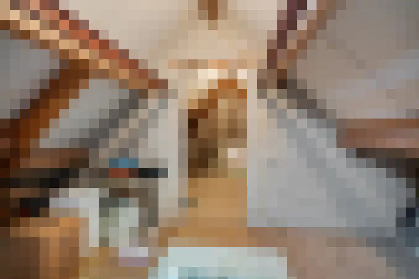 Nicolaaserf 21 Waddinxveen thumbnail 72