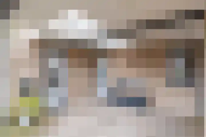 Nicolaashof 20 Venray thumbnail 10