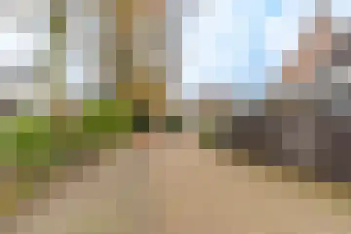 Nicolaashof 20 Venray thumbnail 11