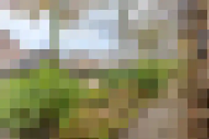 Nicolaashof 20 Venray thumbnail 12