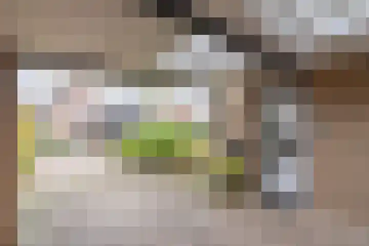 Nicolaashof 20 Venray thumbnail 13