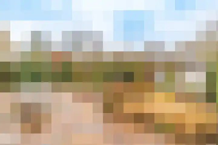 Nicolaashof 20 Venray thumbnail 14