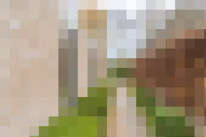 Nicolaashof 20 Venray thumbnail 15