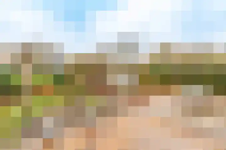 Nicolaashof 20 Venray thumbnail 16