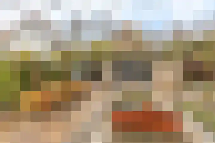 Nicolaashof 20 Venray thumbnail 17
