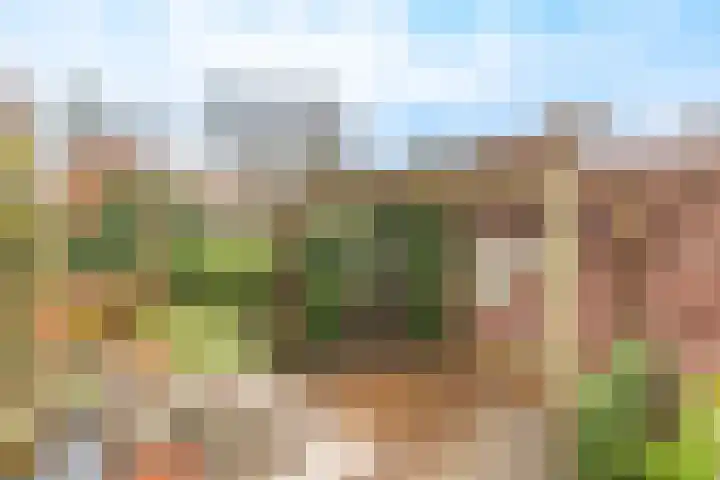 Nicolaashof 20 Venray thumbnail 19