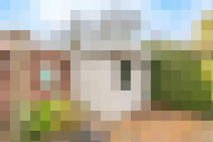 Nicolaashof 20 Venray thumbnail 20