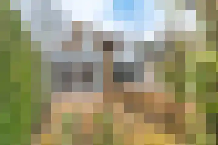 Nicolaashof 20 Venray thumbnail 21