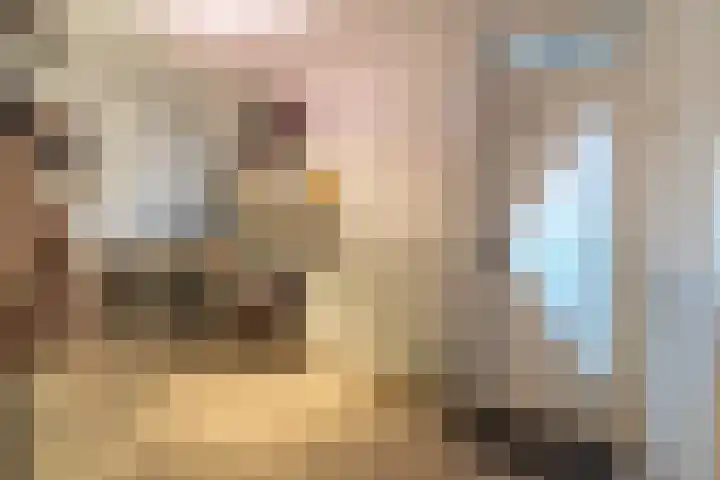 Nicolaashof 20 Venray thumbnail 23