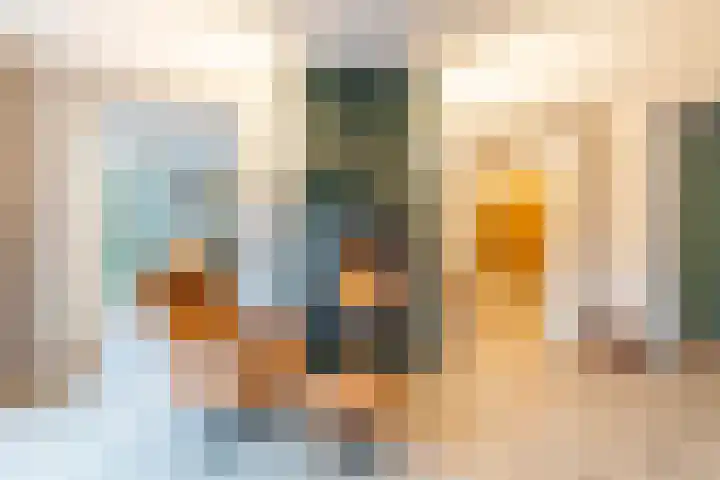 Nicolaashof 20 Venray thumbnail 33