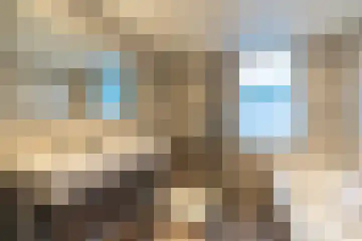Nicolaashof 20 Venray thumbnail 4