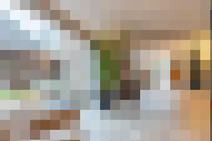 Nicolaashof 20 Venray thumbnail 40