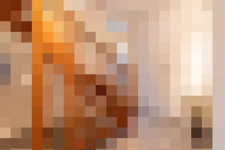 Nicolaashof 20 Venray thumbnail 41