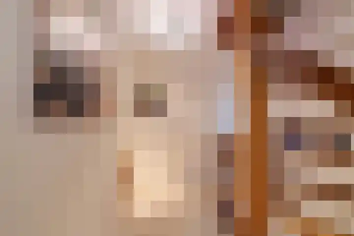 Nicolaashof 20 Venray thumbnail 44