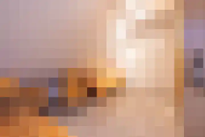 Nicolaashof 20 Venray thumbnail 47