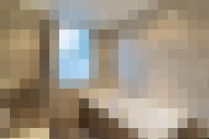 Nicolaashof 20 Venray thumbnail 49