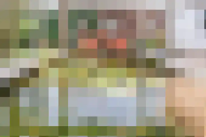 Nicolaashof 20 Venray thumbnail 5