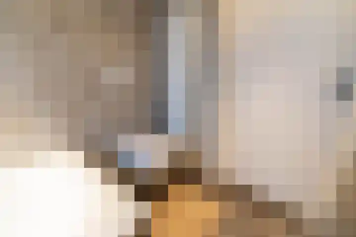 Nicolaashof 20 Venray thumbnail 52