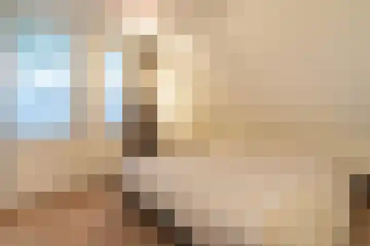 Nicolaashof 20 Venray thumbnail 57