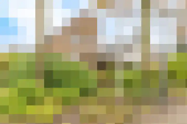 Nicolaashof 20 Venray thumbnail 6