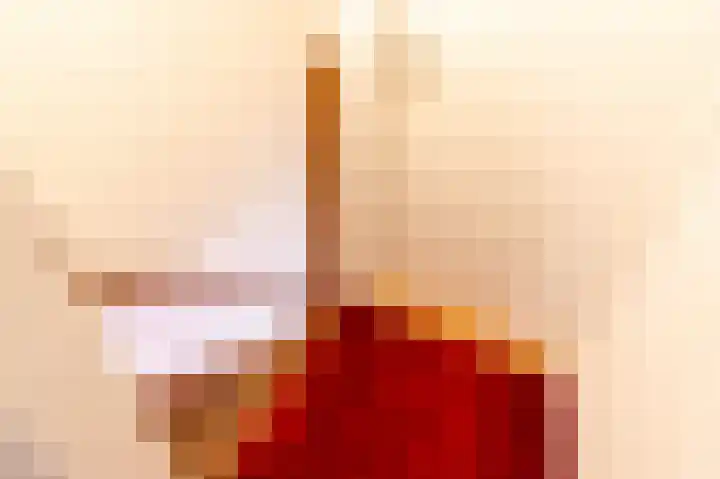 Nicolaashof 20 Venray thumbnail 61