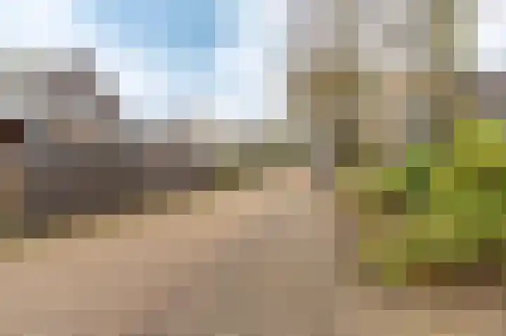 Nicolaashof 20 Venray thumbnail 9