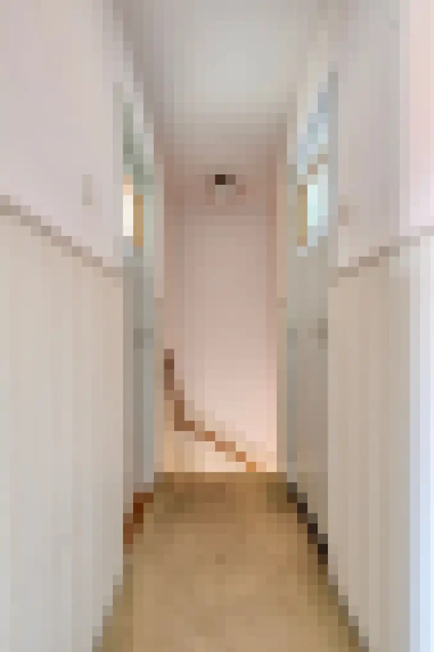 Nicolaasstraat 11 Well L thumbnail 21