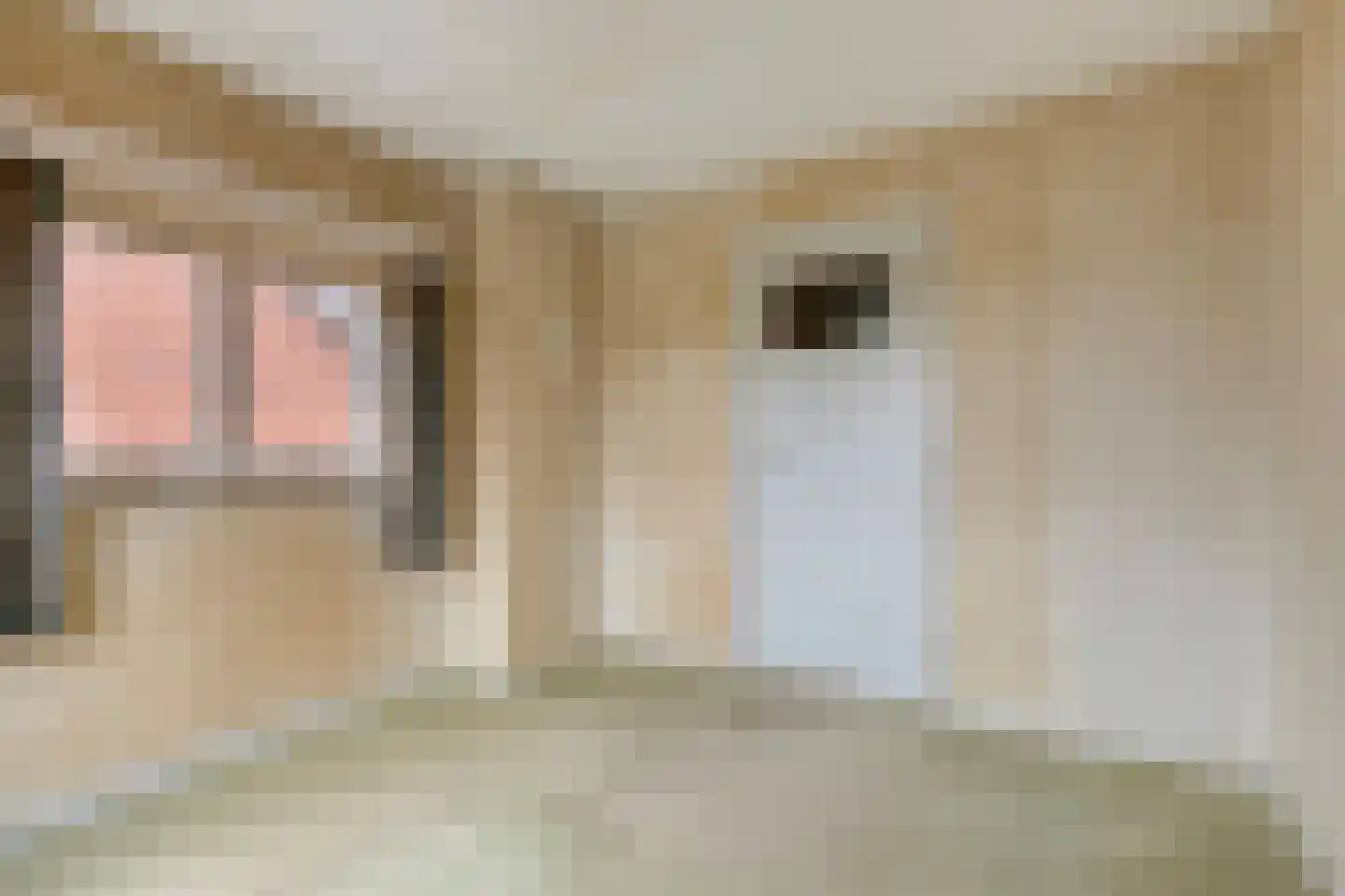 Nicolaasstraat 11 Well L thumbnail 25