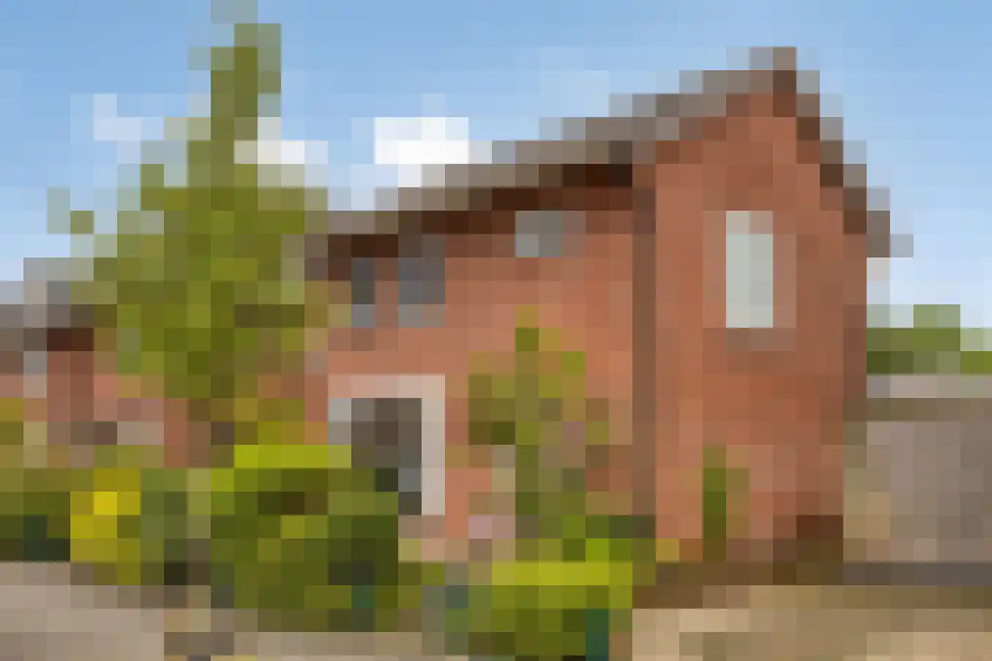 Nicolaasstraat 34 A Hengelo thumbnail 33