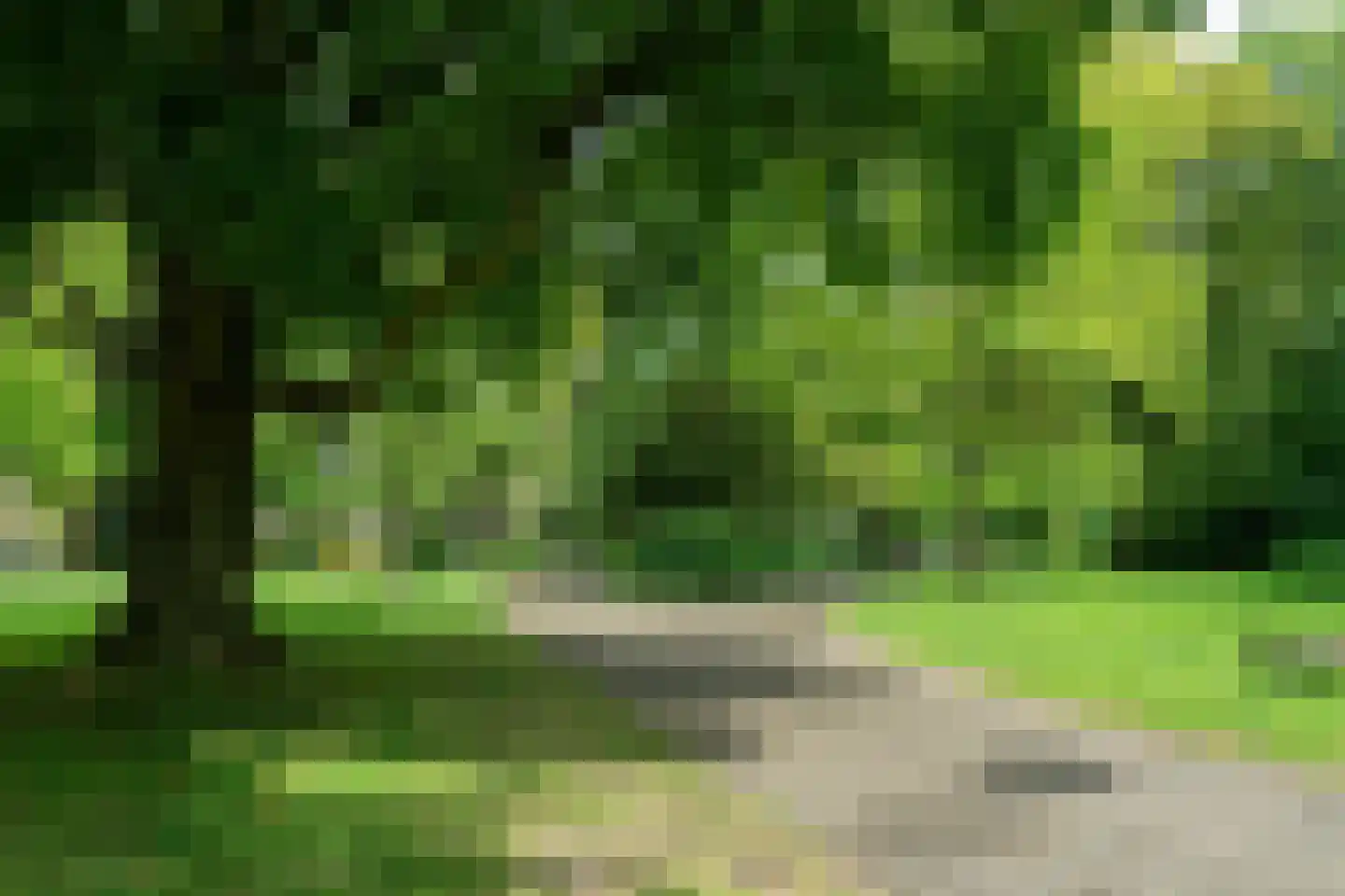 Nicolaasweg 10 Utrecht thumbnail 16