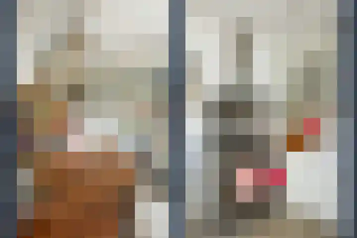 Nicolaasweg 111 Utrecht thumbnail 18