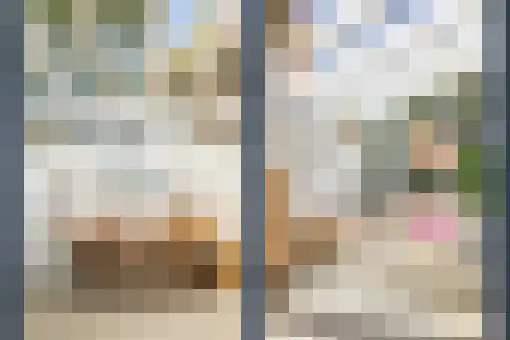 Nicolaasweg 111 Utrecht thumbnail 20