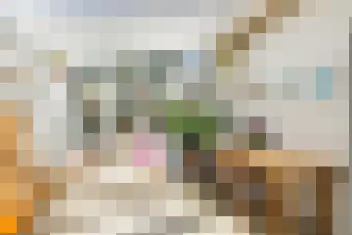 Nicolaasweg 111 Utrecht thumbnail 21