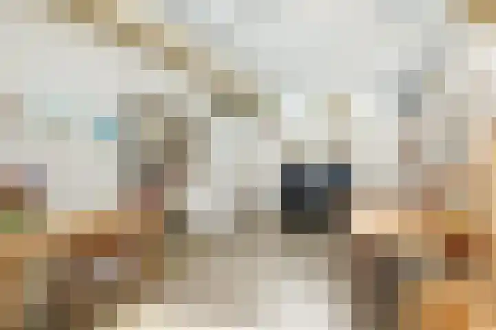 Nicolaasweg 111 Utrecht thumbnail 22