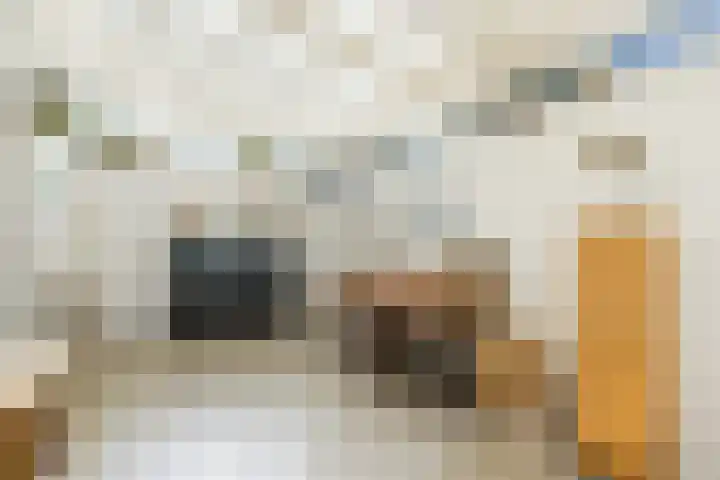 Nicolaasweg 111 Utrecht thumbnail 25