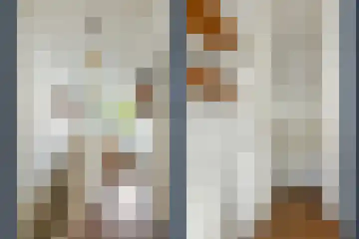 Nicolaasweg 111 Utrecht thumbnail 27