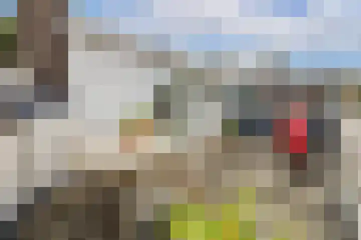 Nicolaasweg 111 Utrecht thumbnail 32