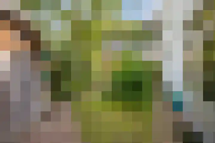 Nicolaasweg 111 Utrecht thumbnail 41