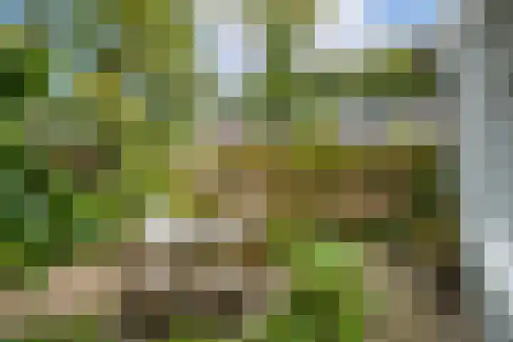 Nicolaasweg 111 Utrecht thumbnail 42
