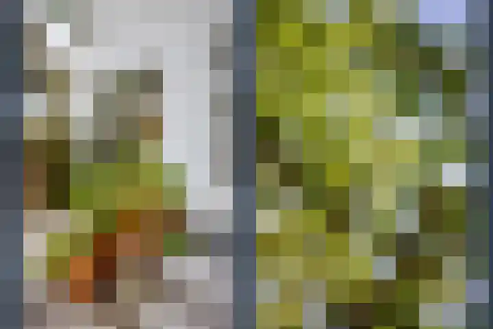 Nicolaasweg 111 Utrecht thumbnail 43