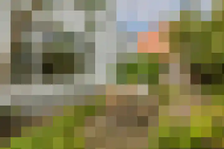 Nicolaasweg 111 Utrecht thumbnail 44