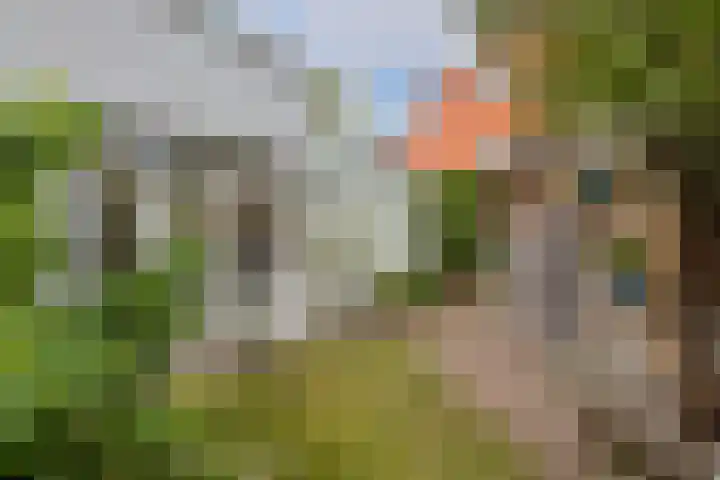 Nicolaasweg 111 Utrecht thumbnail 45