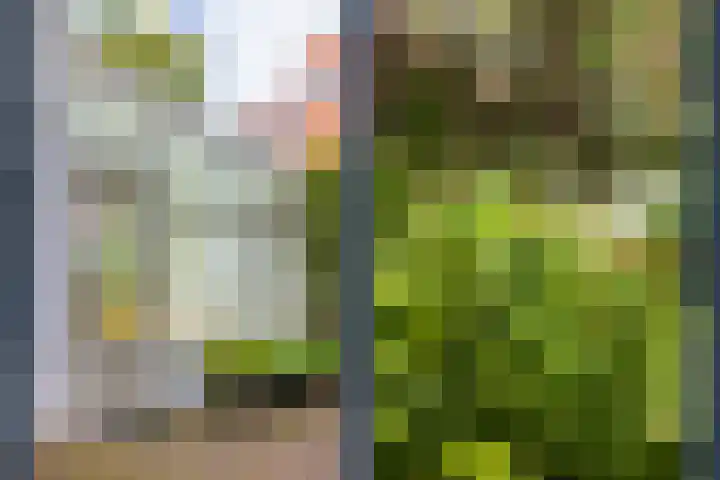 Nicolaasweg 111 Utrecht thumbnail 47