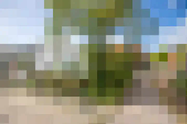 Nicolaasweg 111 Utrecht thumbnail 48