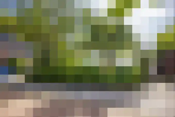 Nicolaasweg 111 Utrecht thumbnail 49